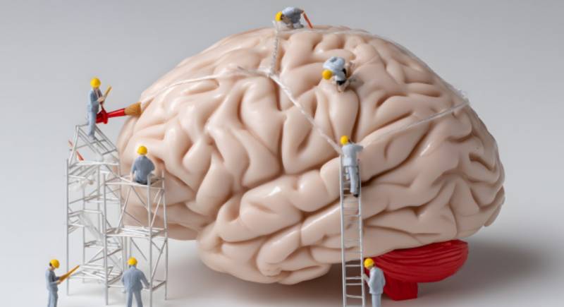 Формирование дисциплины мышления