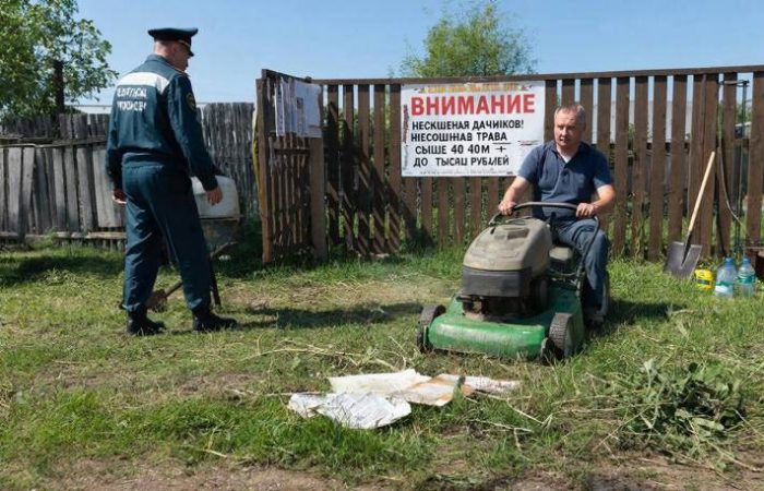 300 рублей за бурьян, юридическим лицам — до 10 тысяч: дачникам пора браться за триммер