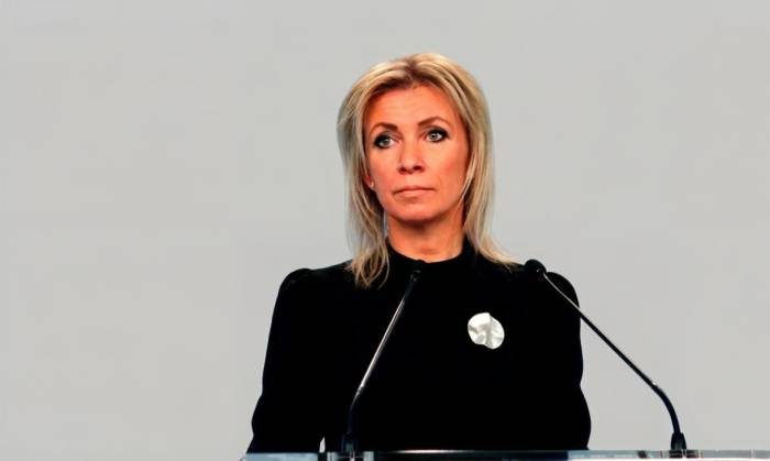 Сказочная политика: Захарова сравнила литовское минное поле с Пиноккио